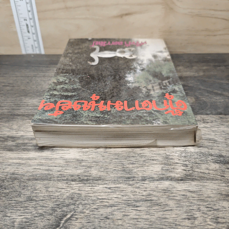 ตุ๊กตามนุษย์ฯ เล่ม 1 - ศรีฟ้า ลดาวัลย์ รูปที่ 4