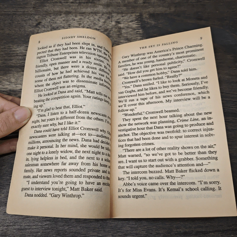 The Sky Is Falling - Sidney Sheldon รูปที่ 7