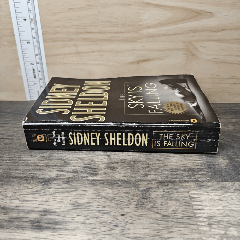 The Sky Is Falling - Sidney Sheldon รูปที่ 2