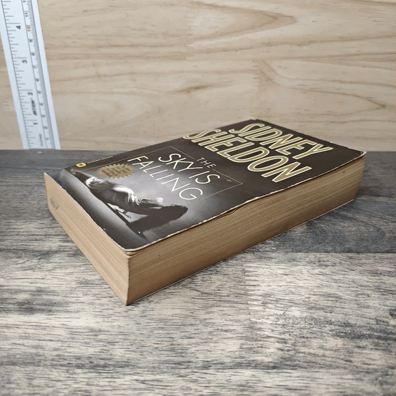 The Sky Is Falling - Sidney Sheldon รูปที่ 3