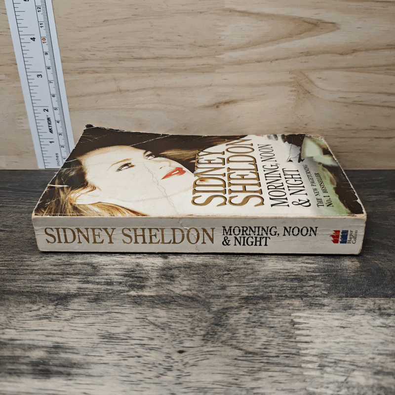 Morning, Noon & Night - Sidney Sheldon รูปที่ 2