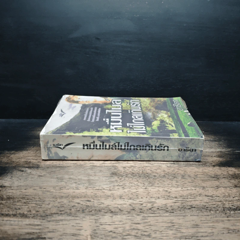 หมื่นไมล์ไม่ไกลเกินรัก - อาริตา รูปที่ 3