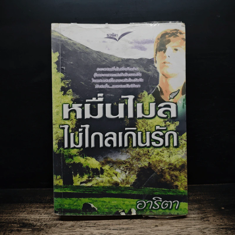 หมื่นไมล์ไม่ไกลเกินรัก - อาริตา รูปที่ 1