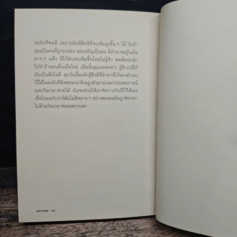 No More No Less - วงศ์ทนง ชัยณรงค์สิงห์ รูปที่ 8