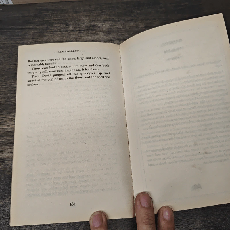 Eye of the Needle - Ken Follett รูปที่ 8