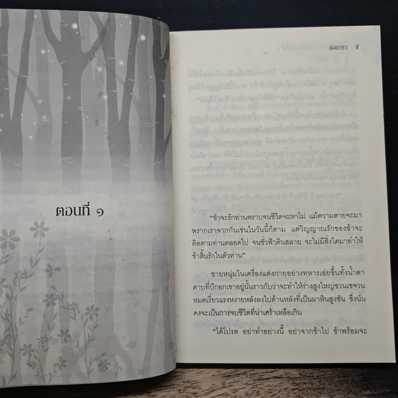 ย้อนรอยรัก อาณาจักรฟาโรห์ - ช่อนารา รูปที่ 7