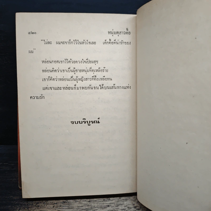 หนุ่มดุสาวดื้อ - จามรี พรรณชมพู รูปที่ 9