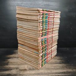 เครยอนชินจัง เล่ม 1-4, 7-33 รูปที่ 4