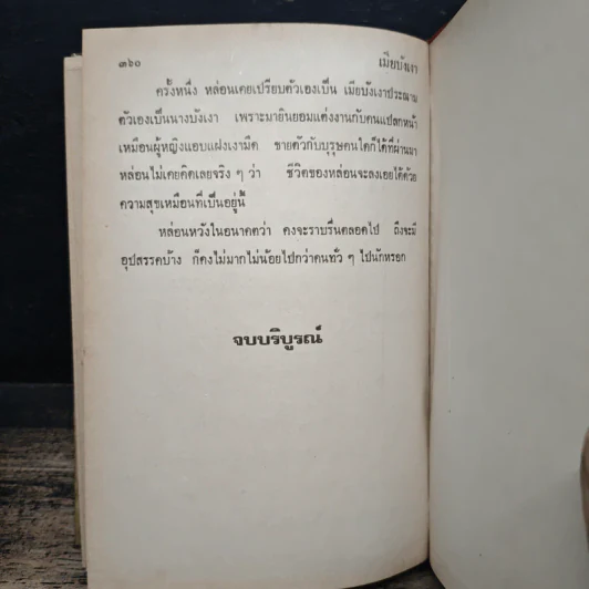 เมียบังเงา - จามรี พรรณชมพู รูปที่ 9