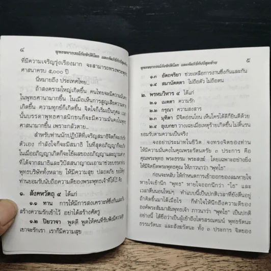 พุทธพยากรณ์ภัยพิบัติโลก คัมภีร์กัปป์สุดท้าย รูปที่ 7