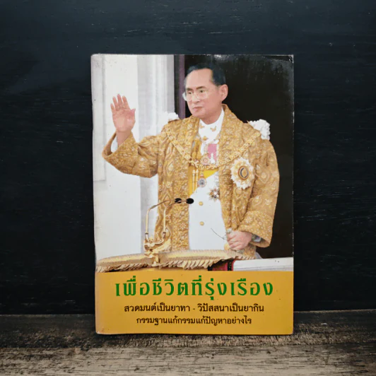 เพื่อชีวิตที่รุ่งเรือง สวดมนต์เป็นยาทา-วิปัสสนาเป็นยากิน - พระธรรมสิงหบุราจารย์ รูปที่ 1
