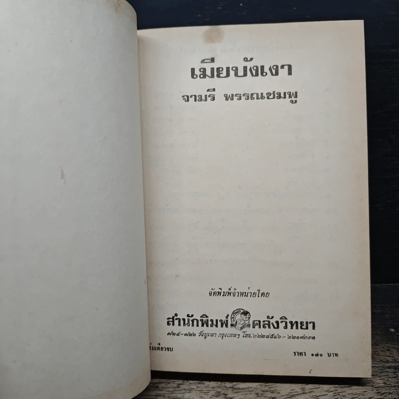 เมียบังเงา - จามรี พรรณชมพู รูปที่ 6