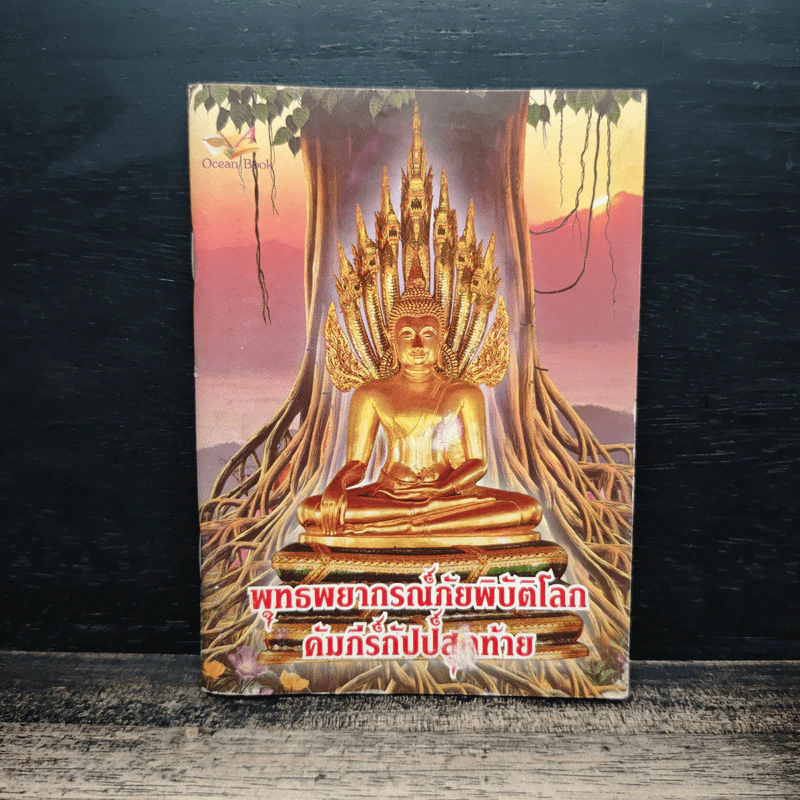 พุทธพยากรณ์ภัยพิบัติโลก คัมภีร์กัปป์สุดท้าย รูปที่ 1