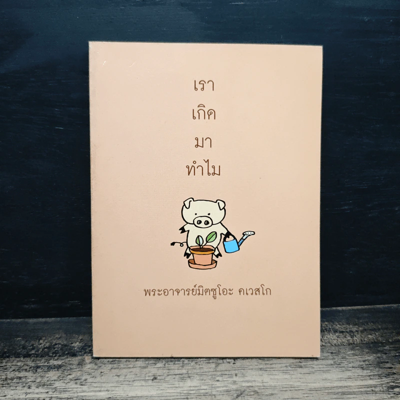 เราเกิดมาทำไม - พระอาจารย์มิซูโอะ คเวสโก รูปที่ 1