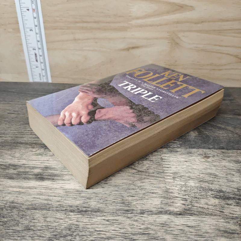 Triple - Ken Follett รูปที่ 3