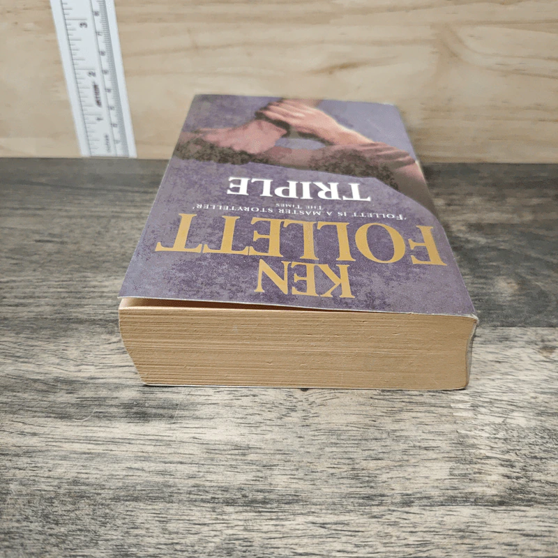 Triple - Ken Follett รูปที่ 4