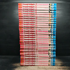 หนุ่มหล่อเฟี้ยวแปลงโฉมสาว เล่ม 1-27,29-32,34 รูปที่ 2