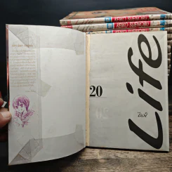 Life ไลฟ์ 20 เล่มจบ - Keiko Suenobu รูปที่ 5