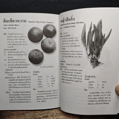 เคล็ดวิธีแก้กรรม-ปัญหาชีวิต กินอย่างไร-ไร้โรคภัย รูปที่ 8