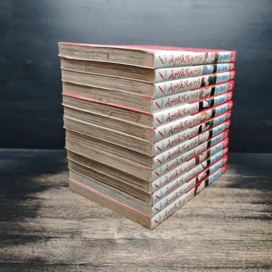 ล้มได้ก็ลุกได้ เล่ม 1-13 รูปที่ 4