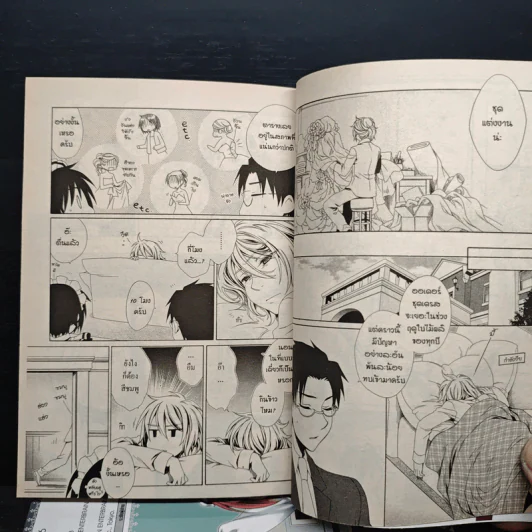 Boy Maid เมดหนุ่มน้อยหัวใจกุ๊กกิ๊ก เล่ม 1-7 รูปที่ 7