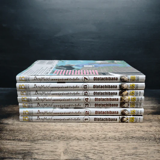 Boy Maid เมดหนุ่มน้อยหัวใจกุ๊กกิ๊ก เล่ม 1-7 รูปที่ 2