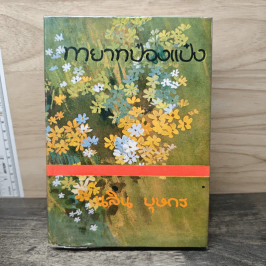 ทายาทป๋องแป๋ง เล่ม 1 - นลิน บุษกร รูปที่ 1