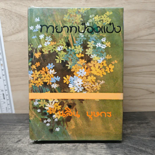 ทายาทป๋องแป๋ง เล่ม 2 - นลิน บุษกร รูปที่ 1