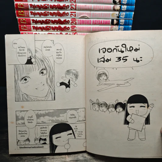 หนุ่มหล่อเฟี้ยวแปลงโฉมสาว เล่ม 1-27,29-32,34 รูปที่ 10