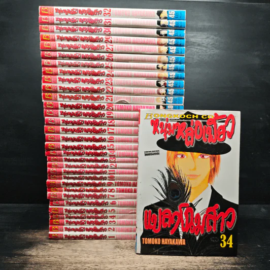 หนุ่มหล่อเฟี้ยวแปลงโฉมสาว เล่ม 1-27,29-32,34 รูปที่ 1