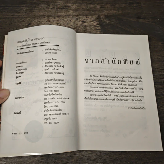แสงตะวันในสายหมอก - ปิยะพร ศักดิ์เกษม รูปที่ 6