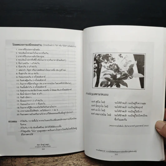 มะเร็ง เบาหวาน ริดสีดวง โรคร้ายที่หายได้ - แรงเกื้อ ชาวหินฟ้า รูปที่ 8