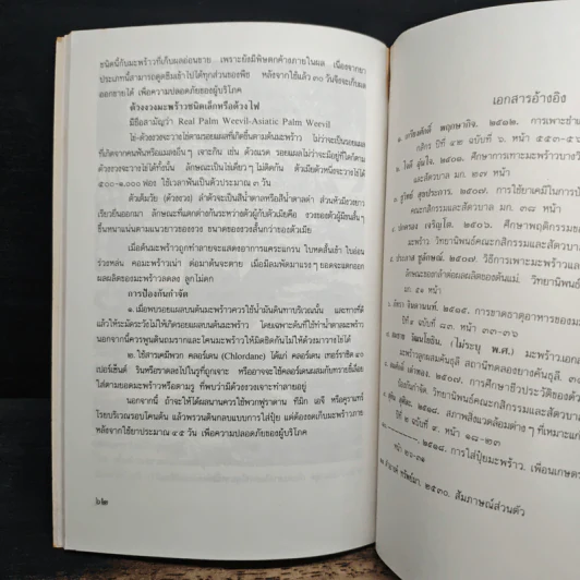มะพร้าวน้ำหอม - กลุ่มเกษตรสัญจร รูปที่ 8