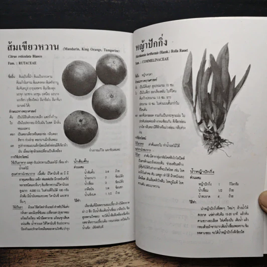 เคล็ดวิธีแก้กรรม-ปัญหาชีวิต กินอย่างไร-ไร้โรคภัย รูปที่ 8