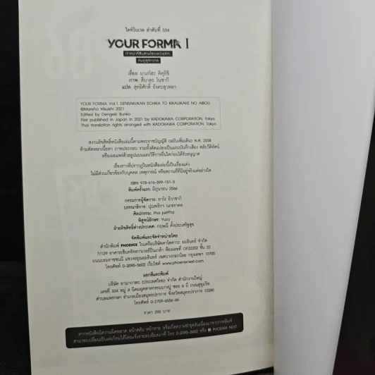 YOUR FORMA เจ้าหน้าที่สืบสวนไซเบอร์เอจิกะ กับคู่หูจักรกล เล่ม 1 รูปที่ 9