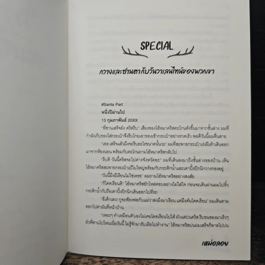 กวางน้อยของซานตาคลอส รูปที่ 7