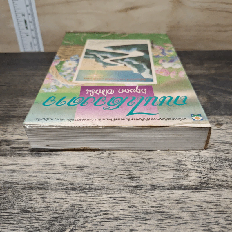 ถนนไปดวงดาว - กฤษณา อโศกสิน รูปที่ 4