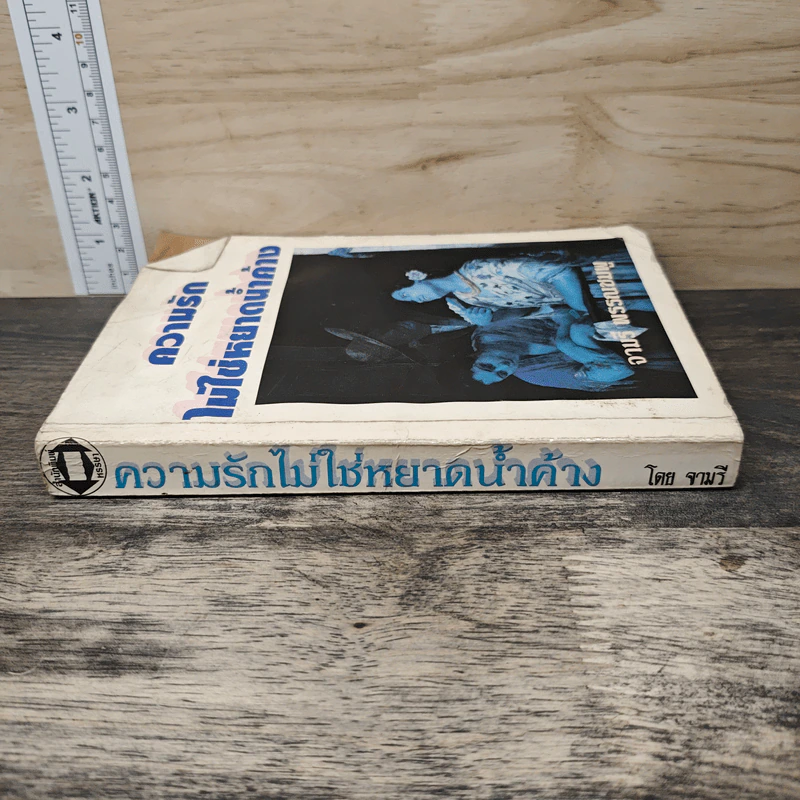 ความรักไม่ใช่หยาดน้ำค้าง - จามรี พรรณชมพู รูปที่ 2
