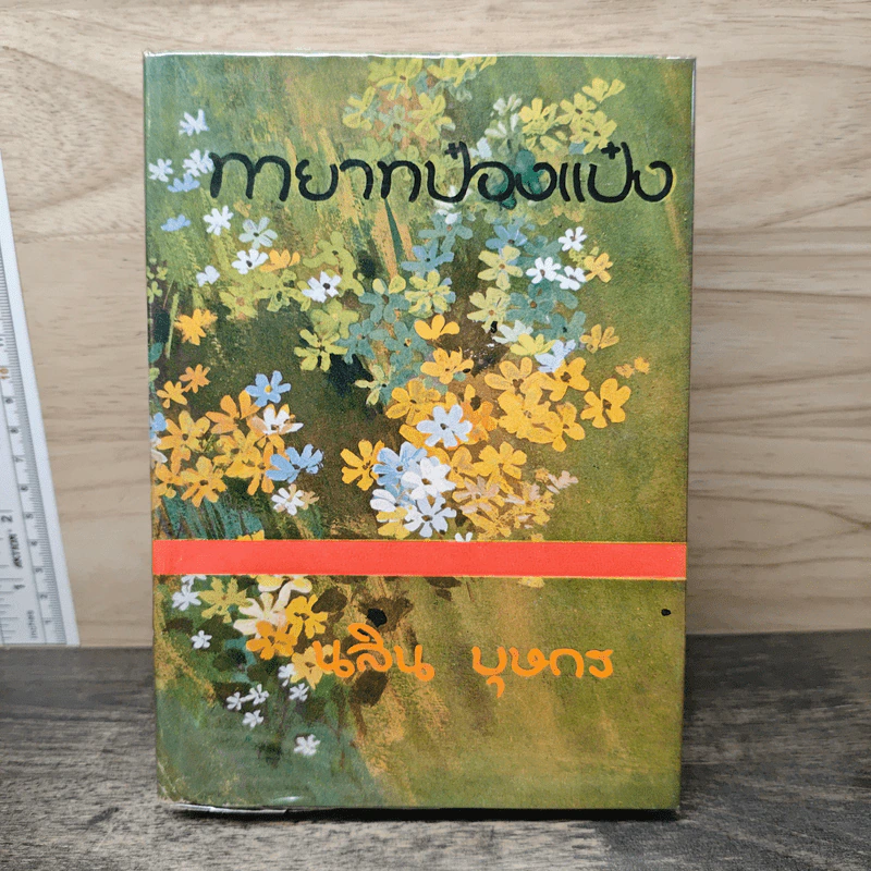 ทายาทป๋องแป๋ง เล่ม 1 - นลิน บุษกร รูปที่ 1