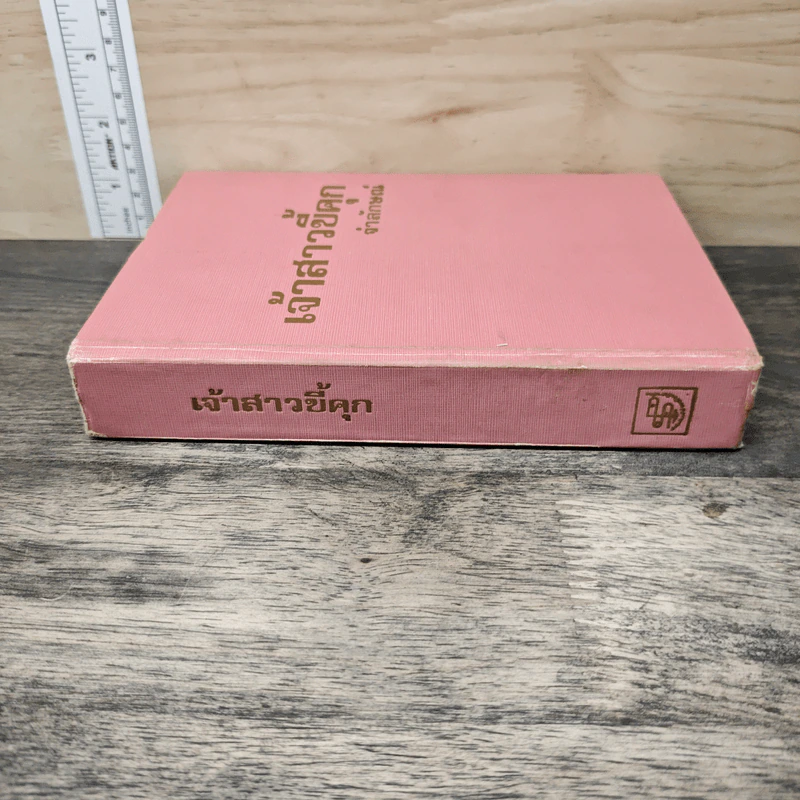 เจ้าสาวขี้คุก เล่ม 1 - จำลักษณ์ รูปที่ 2