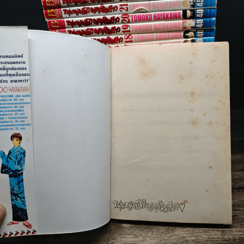 หนุ่มหล่อเฟี้ยวแปลงโฉมสาว เล่ม 1-27,29-32,34 รูปที่ 5
