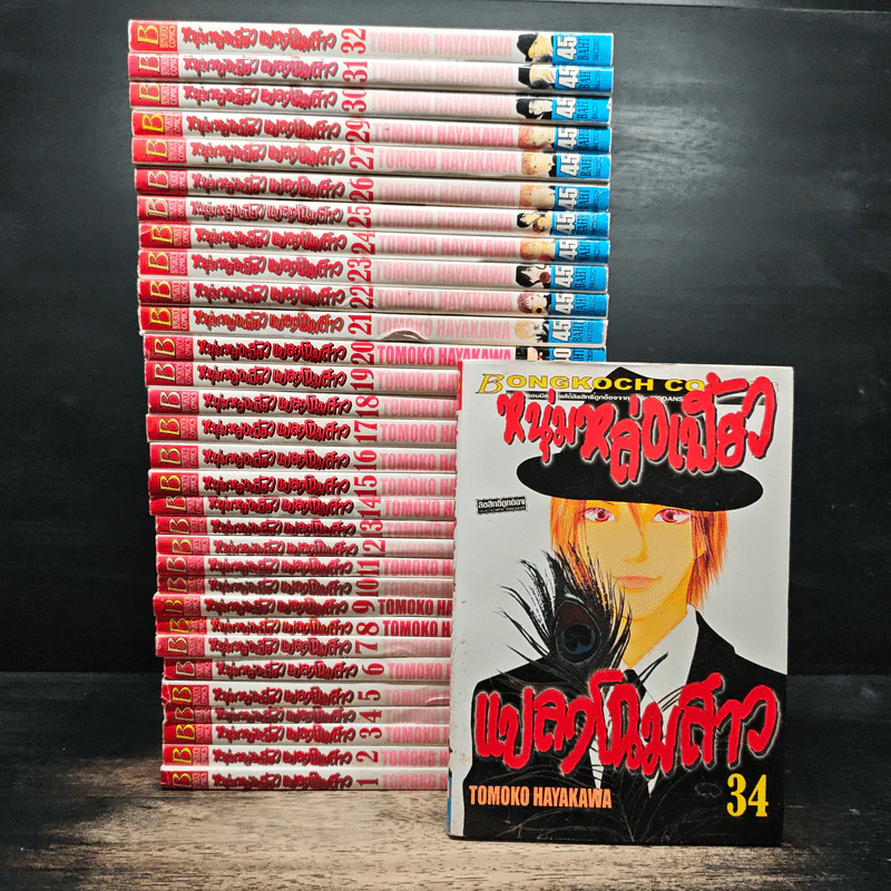 หนุ่มหล่อเฟี้ยวแปลงโฉมสาว เล่ม 1-27,29-32,34 รูปที่ 1