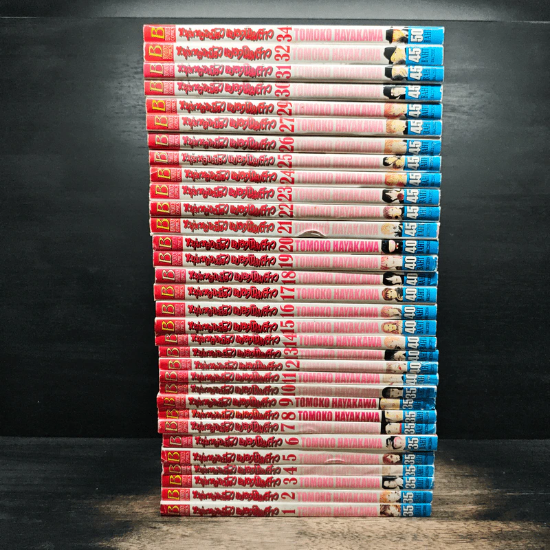 หนุ่มหล่อเฟี้ยวแปลงโฉมสาว เล่ม 1-27,29-32,34 รูปที่ 2