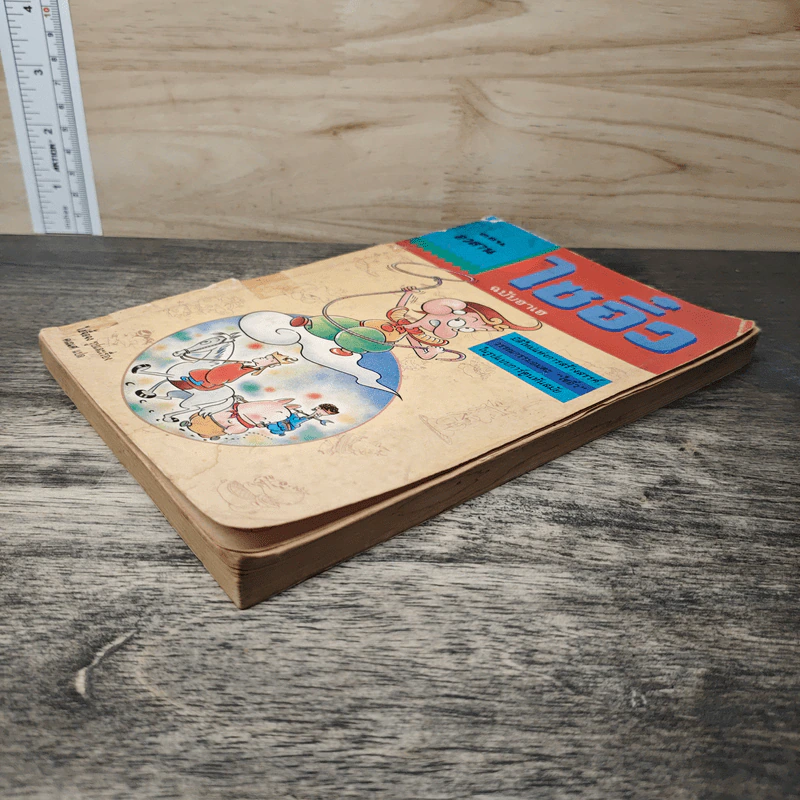 ไซอิ๋ว ฉบับฮาเฮ ตอน อวสาน - ไซ่จื้อจง รูปที่ 3