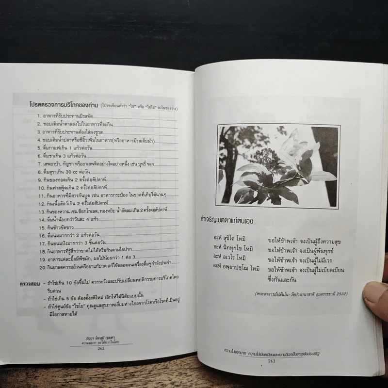 มะเร็ง เบาหวาน ริดสีดวง โรคร้ายที่หายได้ - แรงเกื้อ ชาวหินฟ้า รูปที่ 8