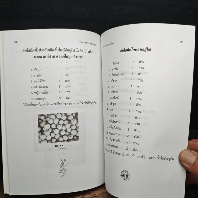 รักษาโรคด้วยสมุนไพร เล่ม 2 - เจนธรรม นำกระบวนยุทธ์ รูปที่ 9