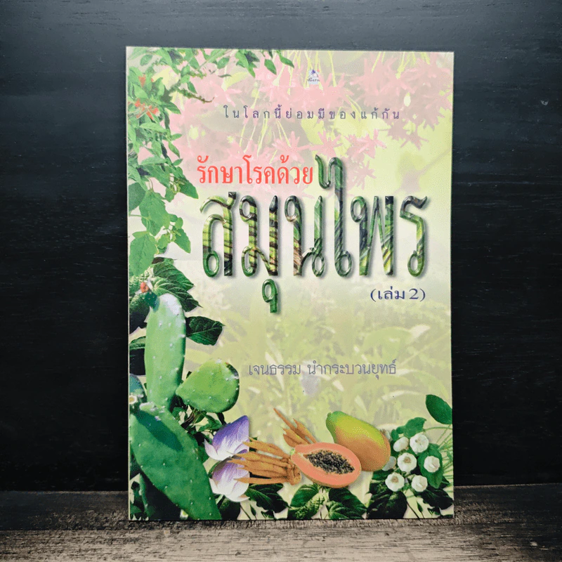 รักษาโรคด้วยสมุนไพร เล่ม 2 - เจนธรรม นำกระบวนยุทธ์ รูปที่ 1