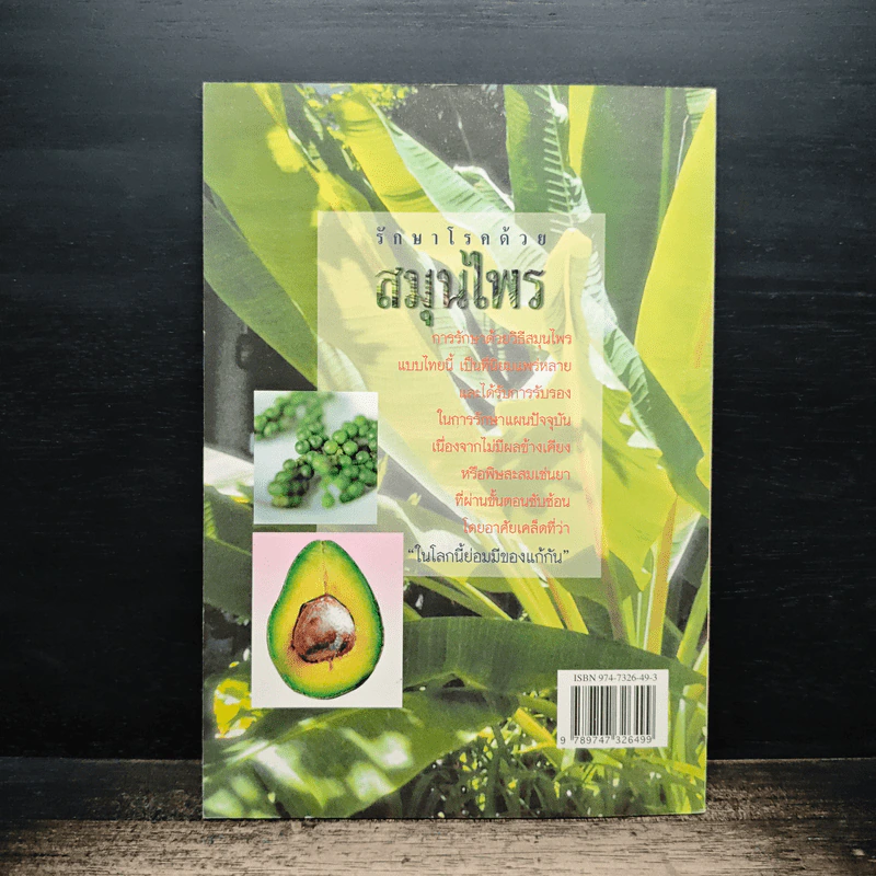 รักษาโรคด้วยสมุนไพร เล่ม 2 - เจนธรรม นำกระบวนยุทธ์ รูปที่ 2