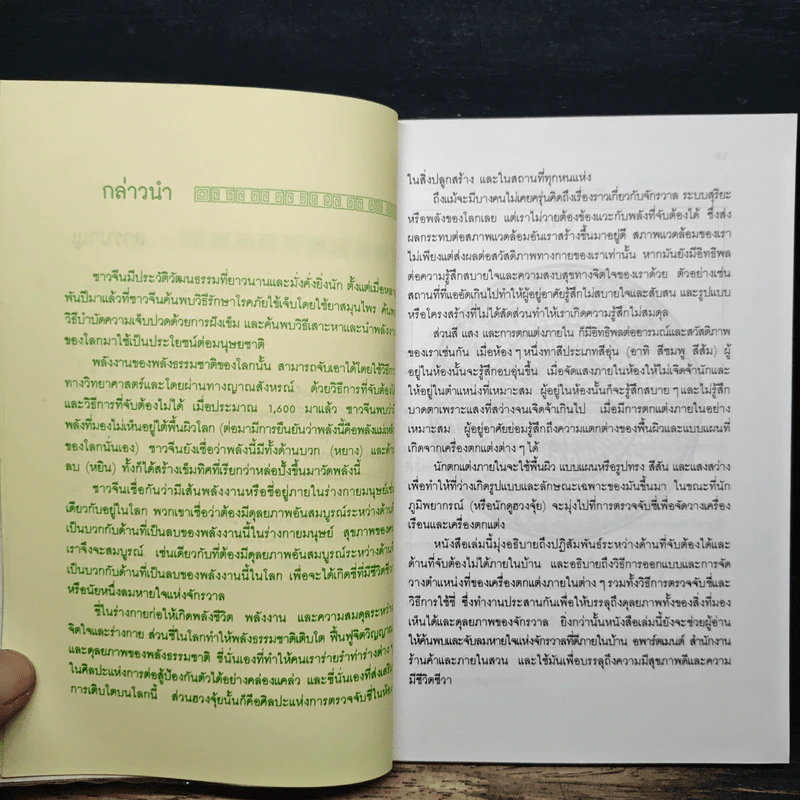 บ้านถูกโฉลก ตามหลักฮวงจุ้ย - Evelyn Lip, อำนวยชัย ปฏิพัทธ์เผ่าพงศ์ รูปที่ 7