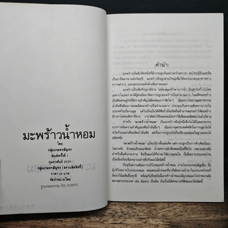 มะพร้าวน้ำหอม - กลุ่มเกษตรสัญจร รูปที่ 6